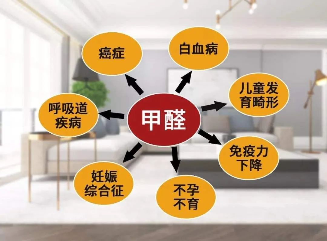 疫情當下，更要把家打造成健康的堡壘(圖4)